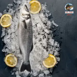 سمك قاروص مقلي